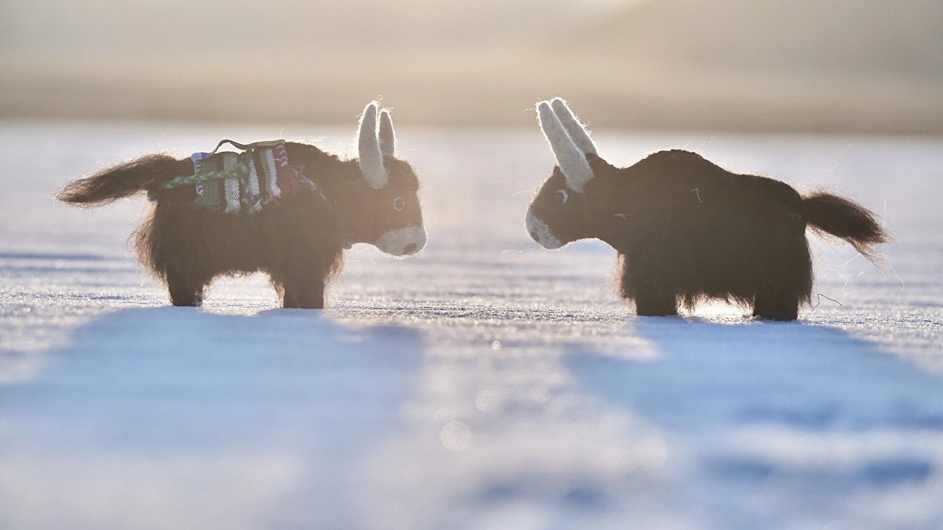 卓贝罗罗牌 牦牛摆件