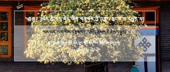 ༄༅། །བོད་ཀྱི་དབུ་མེད་ཡིག་གཟུགས་ཀྱི་འབྱུང་ཁུངས་ལ་དཔྱད་པ།
