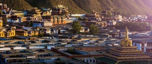 ༄༅།།བསྟོད་བཤད་ཨ་ཁུ་གླང་ཆེན་བྱ་བར་རགས་ཙམ་དཔྱད་པ། སྨན་ཤུལ།
